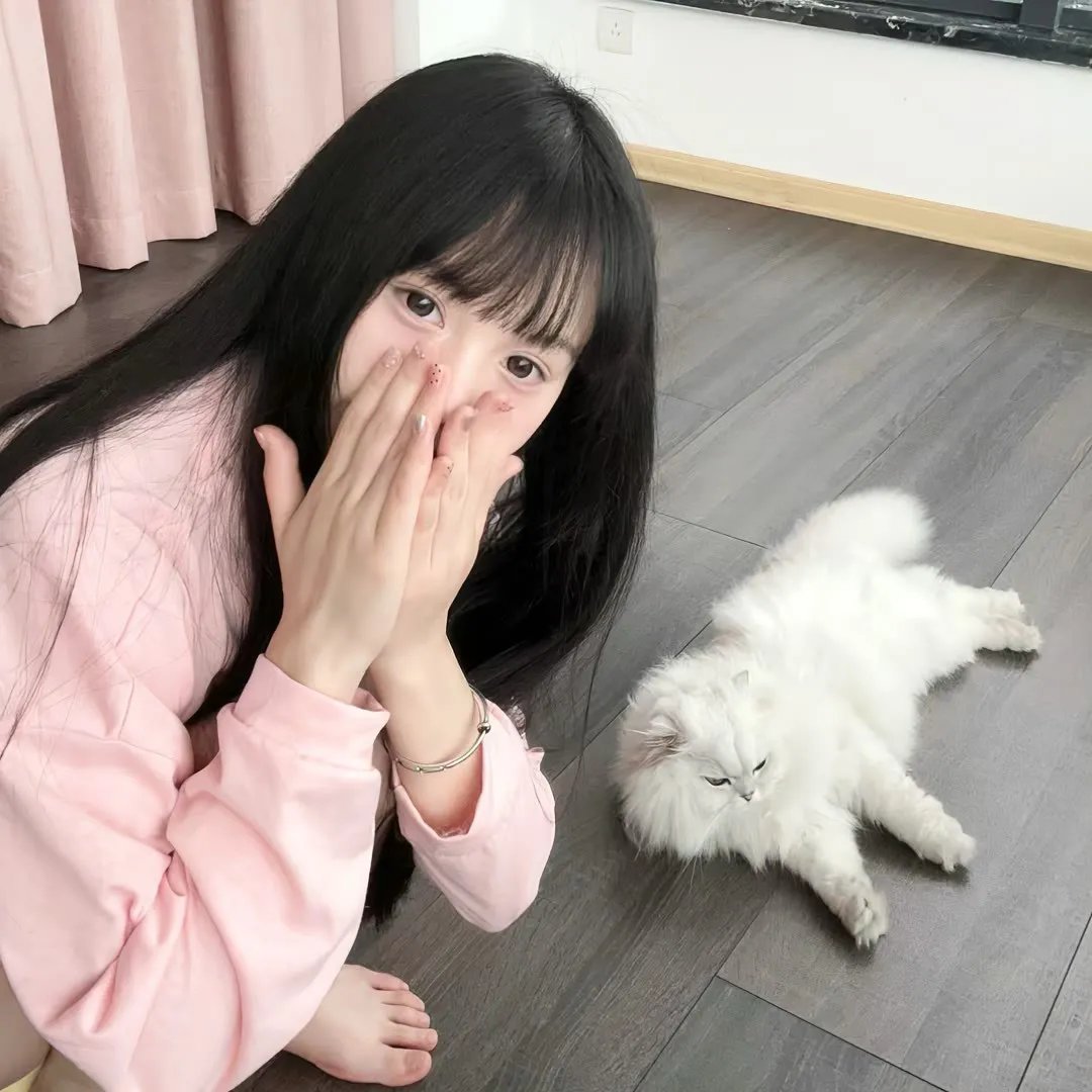 猪猪侠之积木世界的童话