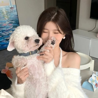 孔雀南飞